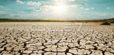 Siccit&agrave; e caro energia stanno mettendo in ginocchio la nostra agricoltura