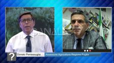 Donato Pentassuglia: le priorità del neo assessore regionale all’Agricoltura - 16/10/2020