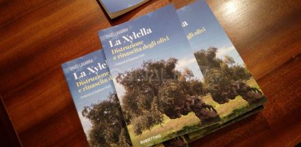 &ldquo;La Xylella distruzione e rinascita degli olivi&rdquo;: il libro di Enzo Lavarra presentato a Gioia del Colle